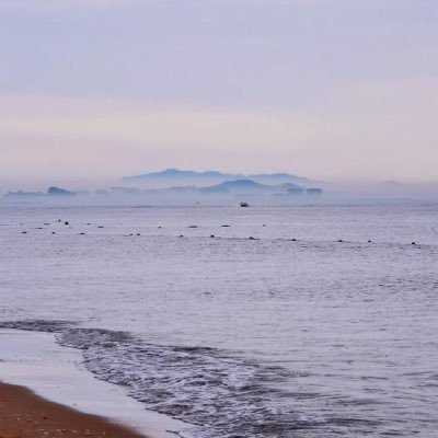 Laiziliang's profile picture. 