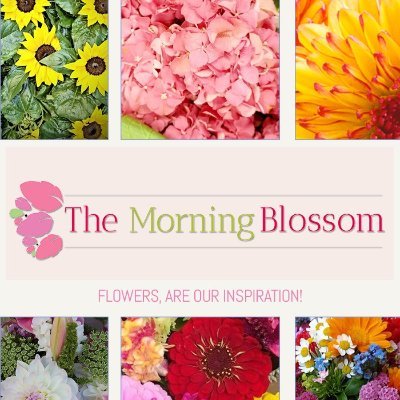 The Morning Blossom