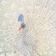 mame_yun's profile picture. 