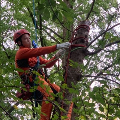 まさや On Twitter 仕事中での重大災害 死亡事故 わしは内装業だが 高所作業しているといつ落ちるのだろう と毎度毎度思う これ落ちたら絶対 死ぬって現場が沢山ある 今日もまた死と隣り合わせ 函館山ロープウェイ事故 従業員死亡 道警が安全管理を捜査 Https T