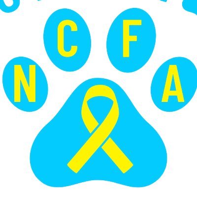 HELP US FIGHT PEDIATRIC CANCER AND MAKE A DIFFERENCE IN OUR COMMUNITY | #NATigerThon | #NoChildFightsAlone |