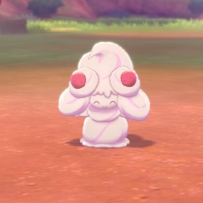 さいぼーる ポケモン初心者 Saiball Pkmn Twitter