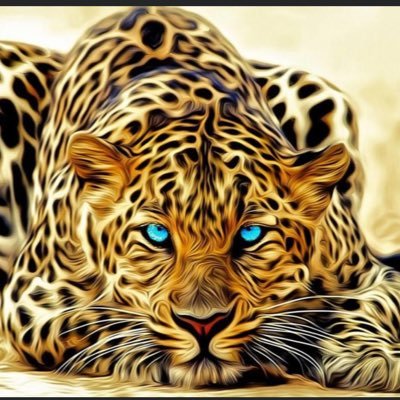 Ibrahim55291857's profile picture. 