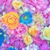 Moon (@moon75990599) Twitter profile photo Moon (@moon75990599) Twitter profile photo