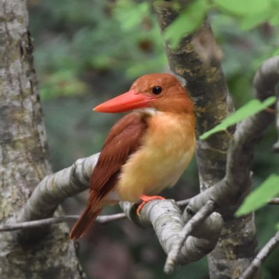 筑波生物4年