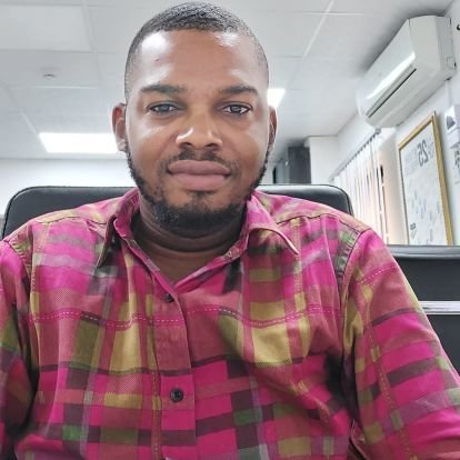 its4tune's profile picture. Network Engineer ° Dodo activist ° Maverick °