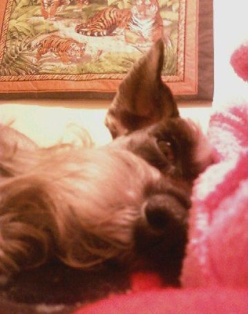 hhaggy's profile picture. 