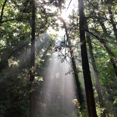 kleine08140312's profile picture. 出戻りモデラーです。エアー、ミリタリー、キャラクター何でもありの雑食です。好きに勝るもの無し‼️2023.02に福岡へ移住。