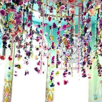 kirameikiramei's profile picture. 頭がおかしいのであまり会話できません。他人を不快にさせます。フォロー歓迎、珍獣観察どうぞ。