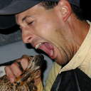 Lee Stanton - @Wind_knot_7 - Twitter