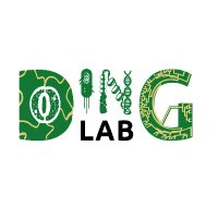 DingLab(@dinglab_plants) 's Twitter Profile Photo