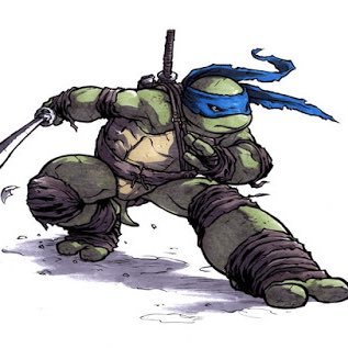 Trained in kenjutsu . Sensei/ Leader of my brothers Mikey , Donnie, and Raph. My family comes first.