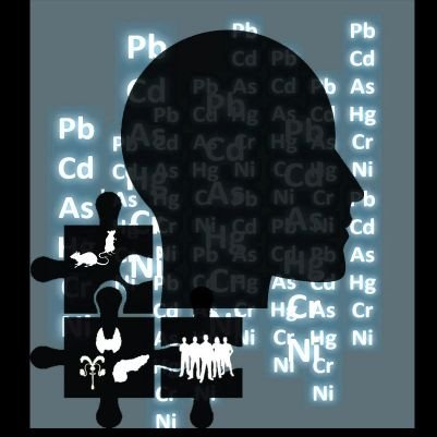 Decoding the role of exposome in endocrine health