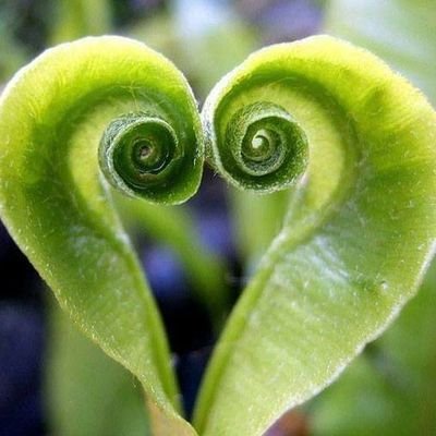 germon0312's profile picture. 