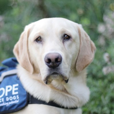 cyacsm's profile picture. The CYACSM minimizes trauma and promotes the well-being of children and youth who have experienced physical and/or sexual abuse, exploitation and/or trafficking