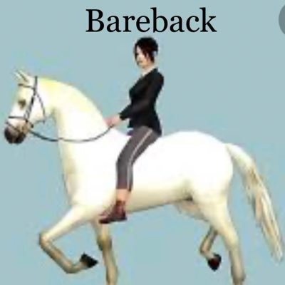 Ride your Horse BareBack.