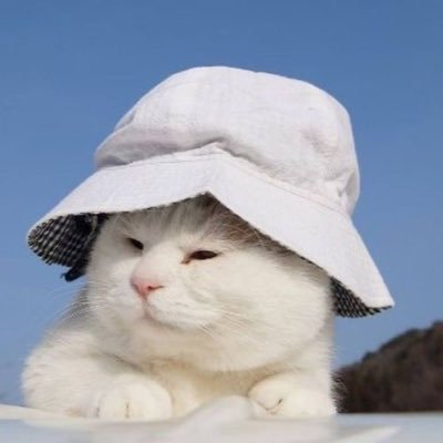 _340298's profile picture. 20↑ ⌇ tokyo ⌇ 社会人 ⌇