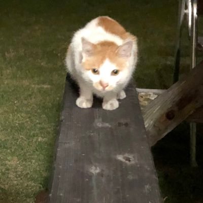 えくれあさんのプロフィール画像