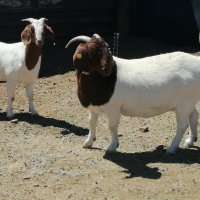 Michview Enterprises (Pvt) Ltd (@michview_mv) 's Twitter Profile