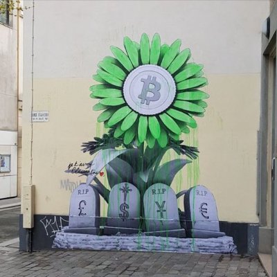 kurioseNaturale's profile picture. Dive with me into the #bitcoin rabbit hole 🕳 🐇 Bitcoin price is a lagging indicator of people's understanding of money and economics.