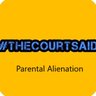 court_said's profile picture. Psychological Abuse & Coercive Control are at the heart of Parental Alienation. Allegations of PA or DA demand investigation. #ParentalAlienation