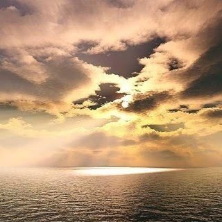 chutegully's profile picture. Marketing and Media