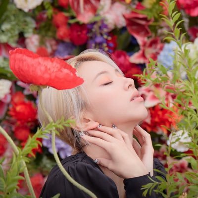 acml_xp's profile picture. #Twice • #Bangtan M é x i c o.