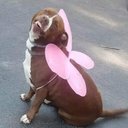 Patrick carrera - @patrikcarrera - Twitter