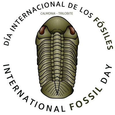 Fossil Day Uruguay en adhesión al Día Internacional de los Fósiles. Divulgamos sobre paleontología y fósiles de Uruguay y el mundo. Seguinos y conocé más.