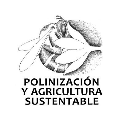 Investigamos el aporte de las abejas nativas 🇨🇱 a la agricultura, buscando la armonía entre #biodiversidad, #conservación y #productividad