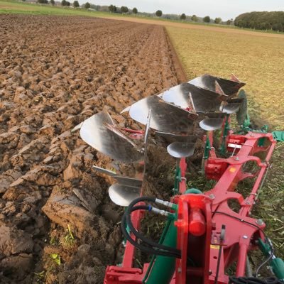 WimHopmans's profile picture. 