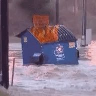 TNFDumpsterFire Profile Picture