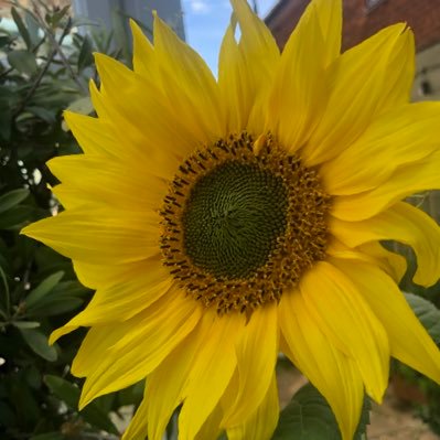 LauraBarter's profile picture. she/her and Miss to a few