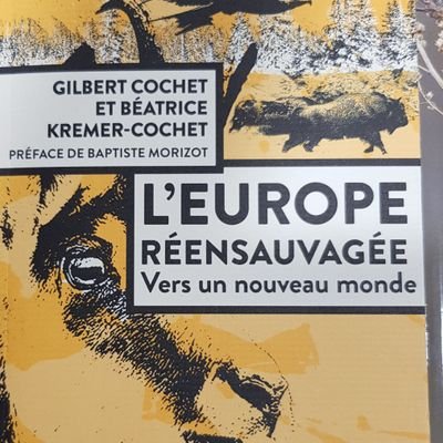 SimonCav181's profile picture. voyageur malgré lui...une mascarade, des mascarons...les urnes doivent virer les burnes...