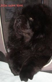 Hello,
Julian had to be put down on 8/9/2019. Liver cancer.

My Mom uses my Twitter -if U see Tweets from her its ok.