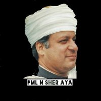 Pml N Sher Aya(@PmlNSherAya) 's Twitter Profile Photo