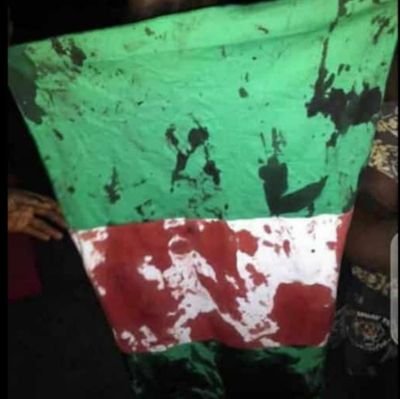 meanwhile this will be my profile picture forever…the day Nigeria Government massacre it’s own citizens.😭😭😭