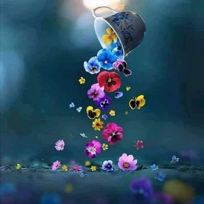 sRx7zK4qtFUhl3v's profile picture. ‏اللهم صلي وسلم على نبينا محمد وعلى آله وصحبه أجمعين اللهم امين