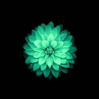 Green-Aid Lotus (@aidlotus) 's Twitter Profile Photo Green-Aid Lotus (@aidlotus) 's Twitter Profile Photo
