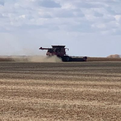 Farm kid from ND. Now in the startup AgTech World. Mr. Wonderful always says “I want my money to go out, then come back with twice as many that left!”