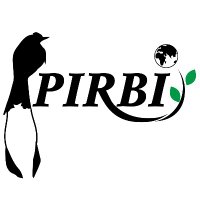 PIRBI (@pirbi2) 's Twitter Profile
