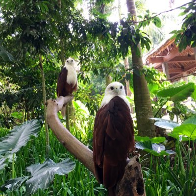 Beqyuuu's profile picture. Sambelholic🤤