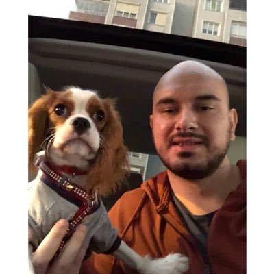 tboztuna's profile picture. Software Engineer