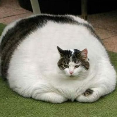 Matias31257's profile picture. 