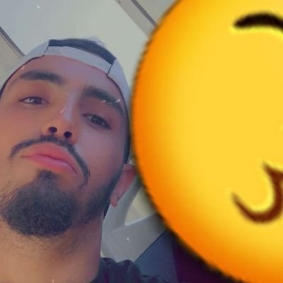 maghrebinos's profile picture. 