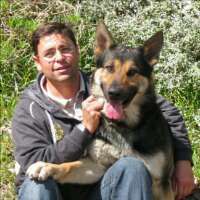davidquercus's profile picture. Escuela Canina Quercus, Grupo Deportivo RCI, OCI,