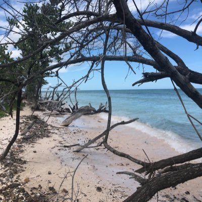 EixampleApartm's profile picture. 