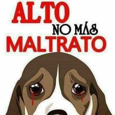 NO LES TENGO MIEDO A AMENAZAS!
Soy libre de expresar mi opinión, nadie ni nada me va a callar.
#YouDontSilenceMeNever
#LibertadPolítica