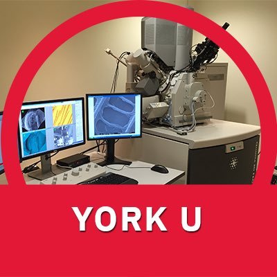 The official Twitter account for YorkU's Microscopy Facility. Imaging nanoworld - capturing minute, microscopic, minuscule.