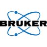 BrukerFM's profile picture. See the biology of life more clearly with #multiphoton, #superresolution, @Inscopix miniscope and multiscope, and @luxendo #lightsheet #microscopy technology🔬